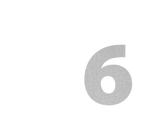 Got Your Six NY Logo